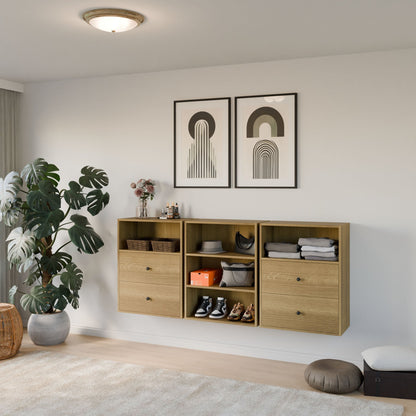 A minimalist living space features a light beige carpet and Krovel Furniture Co.'s Closet Drawers and Shelves in White Oak, showcasing shoes and decor. Potted plants and abstract art prints adorn the white wall above, while a round ceiling light illuminates the room. 