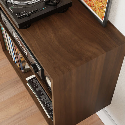 Record and Stereo Storage Cabinet in Walnut - Krovel Handmade in Maine