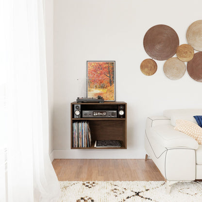 Record and Stereo Storage Cabinet in Walnut - Krovel Handmade in Maine