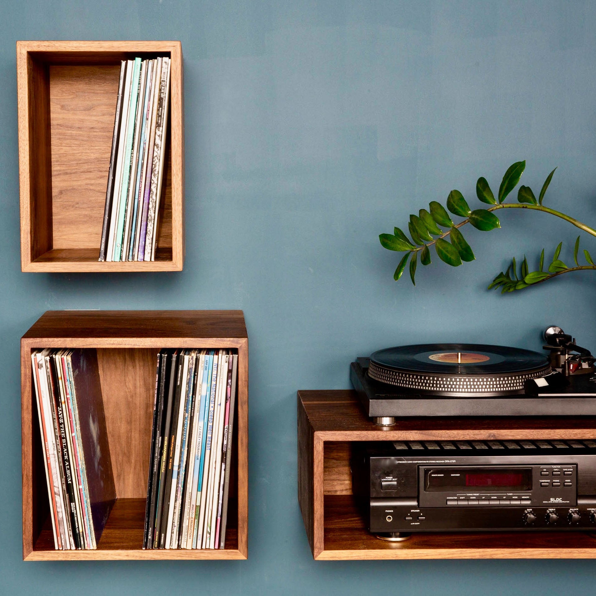 Krovel's Record Storage Shelves in Walnut adorn the blue wall, holding vinyl records and a turntable. A lush green plant adds a natural touch to the display.